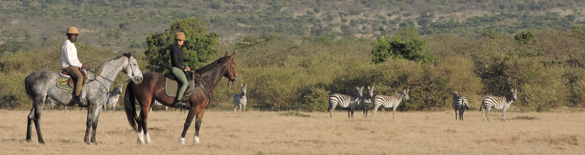 Safari in Kenia / Masai Mara 1384