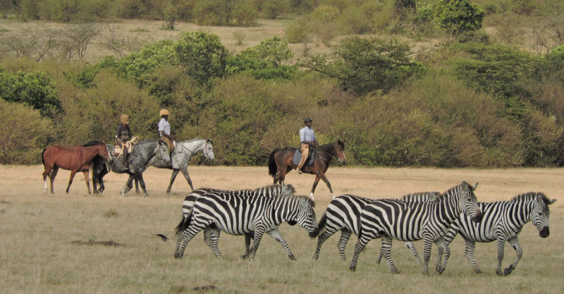 Safari in Kenia / Masai Mara 1084