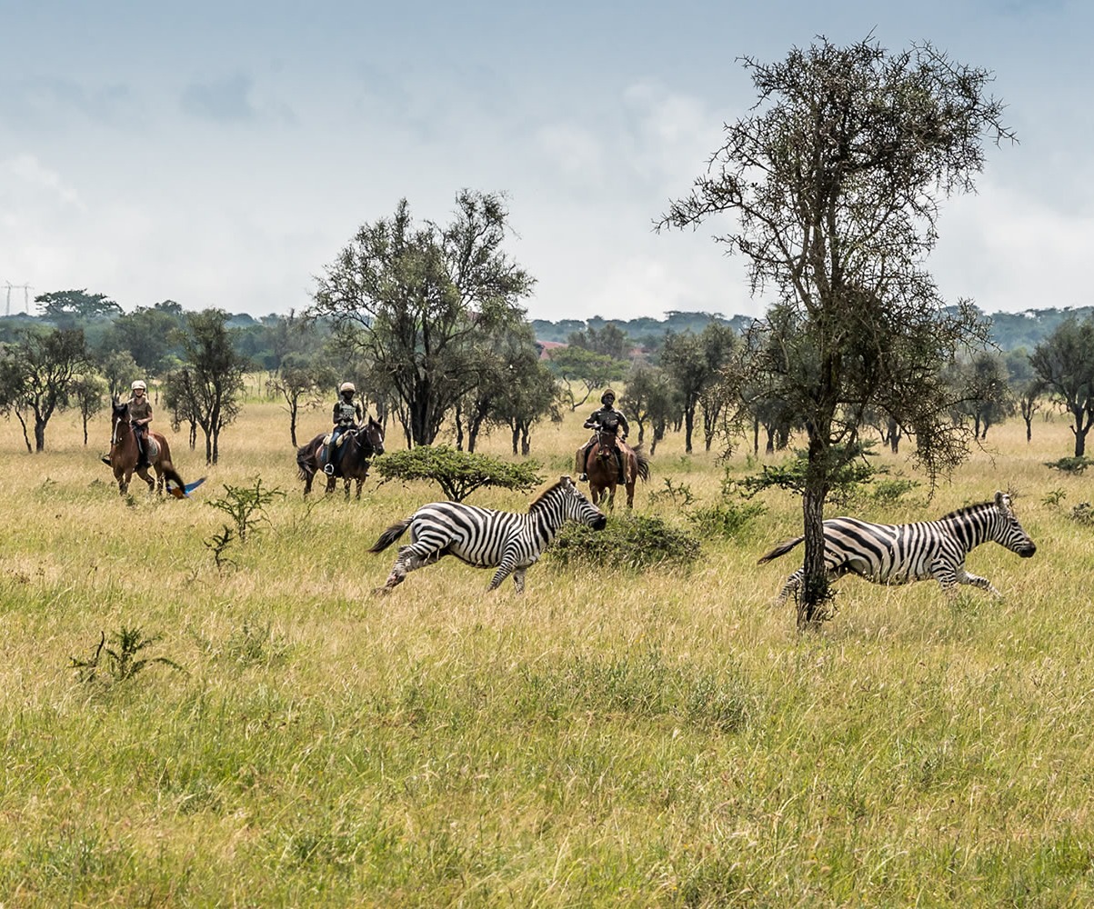 Safari in Kenia, Reiten in der Masai Mara
