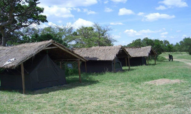 Safari in Kenia / Masai Mara 1302