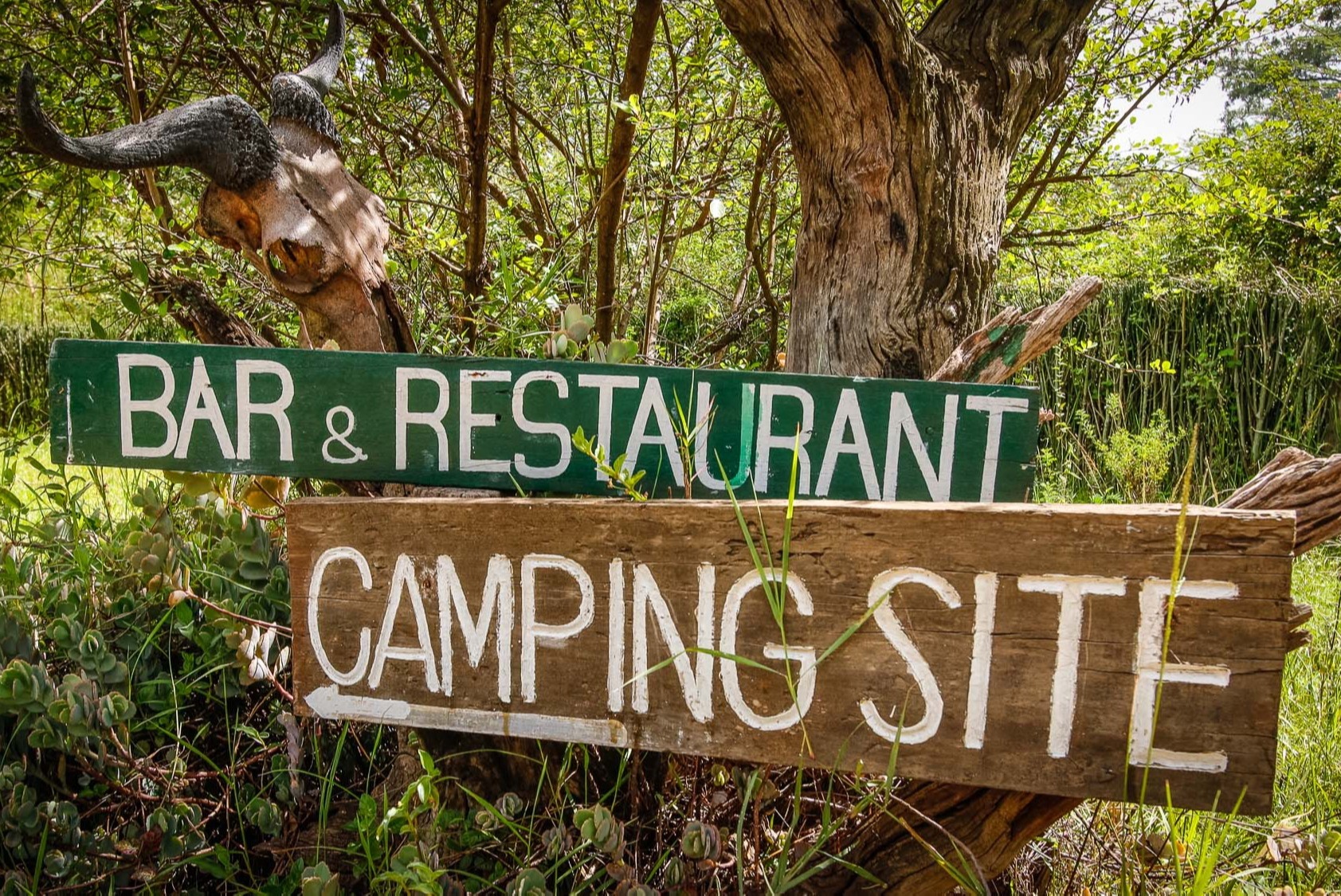 Zelte im Aruba Mara Camp in der Masai Mara