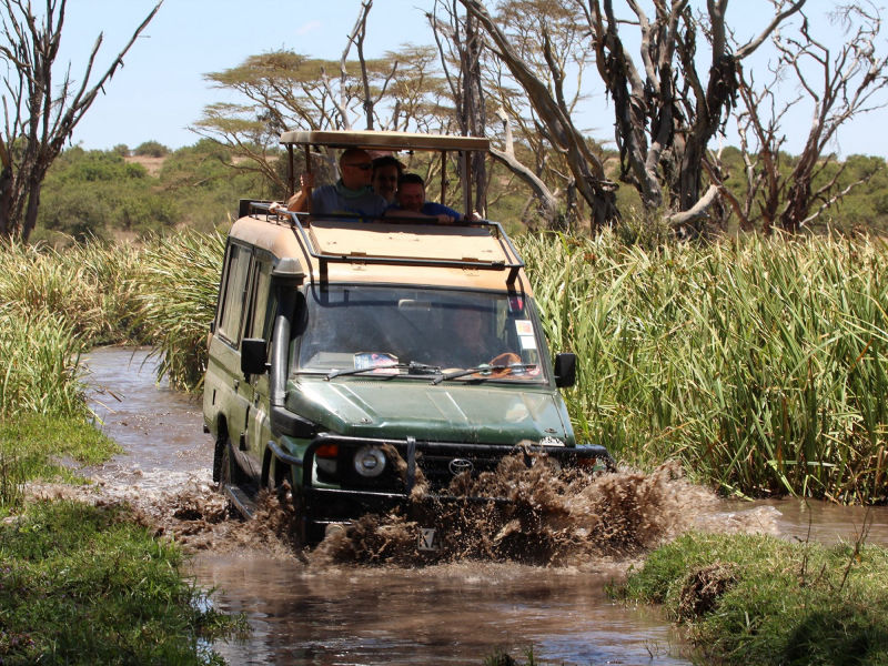 Safari in Kenia / Masai Mara 1431