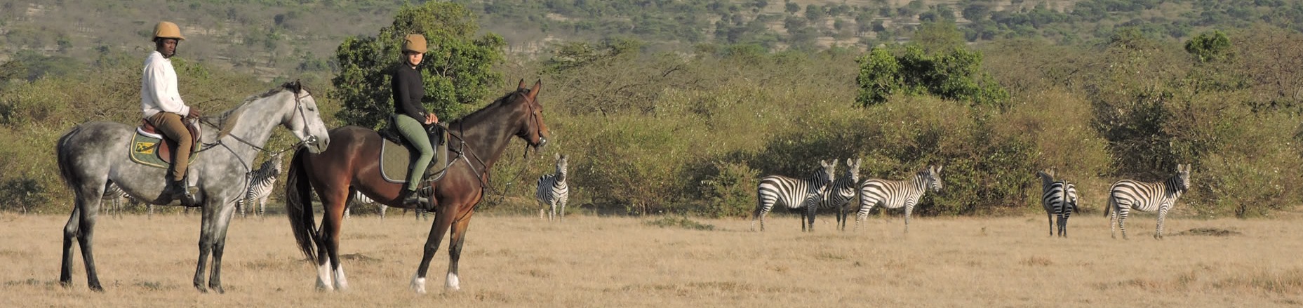 Horseridung Masai Mara
