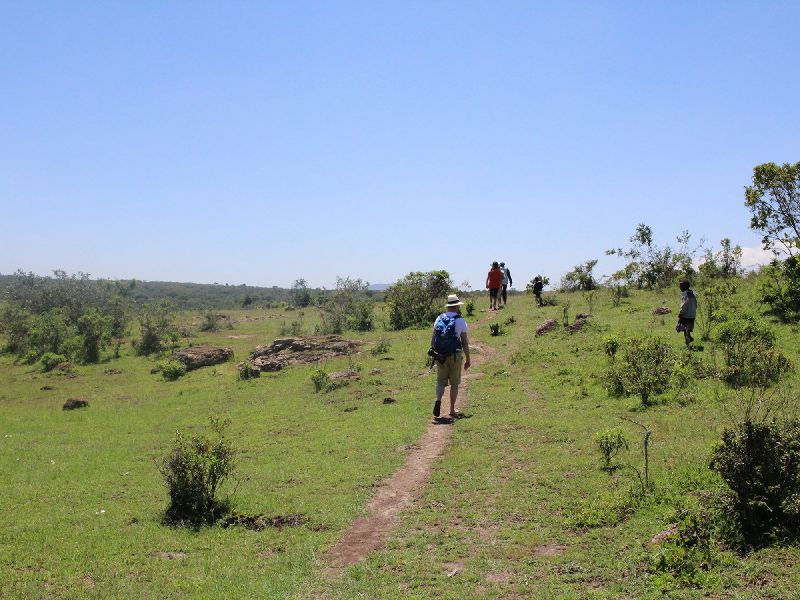 Kenia Safari - Wandern in den Aberdares